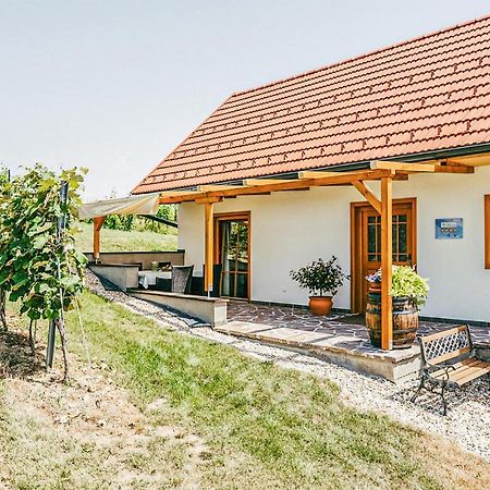 Ferienhaus Gaas Weinberg Buitenkant foto